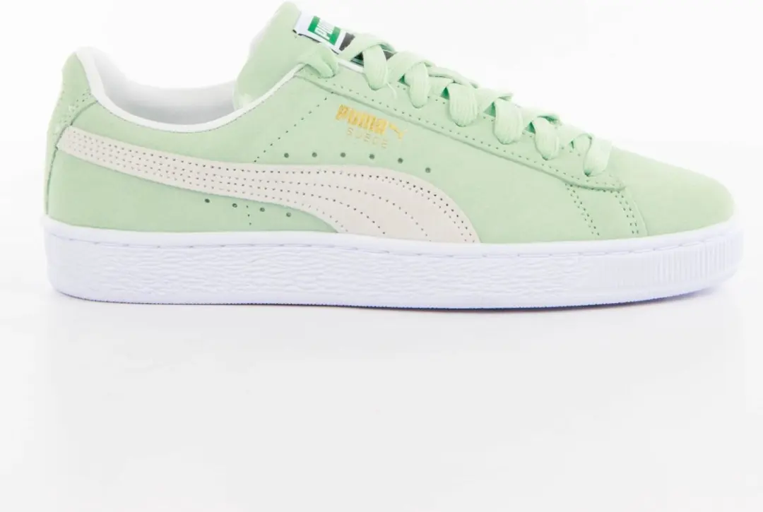 Fresh Mint