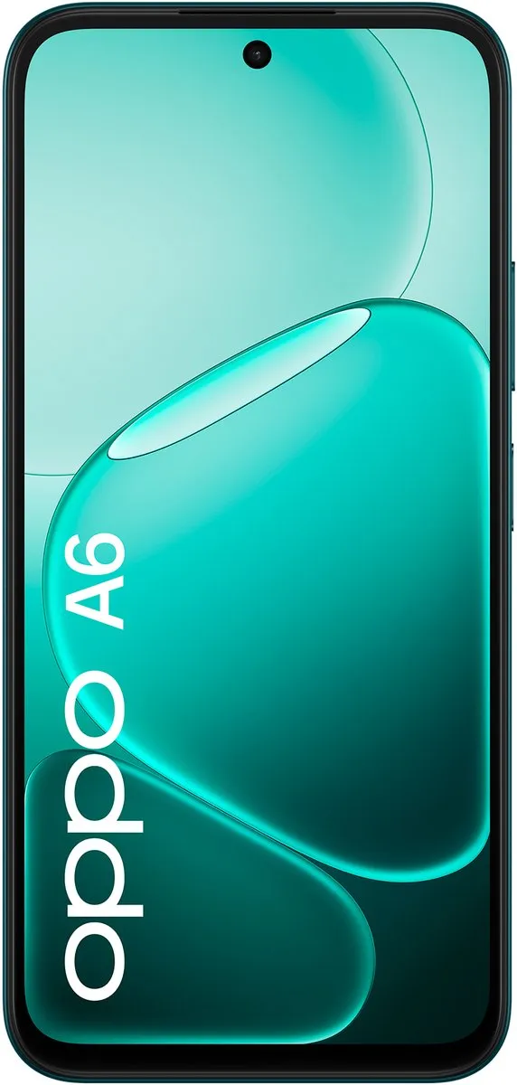 OPPO A6 110010349841 Smartphone