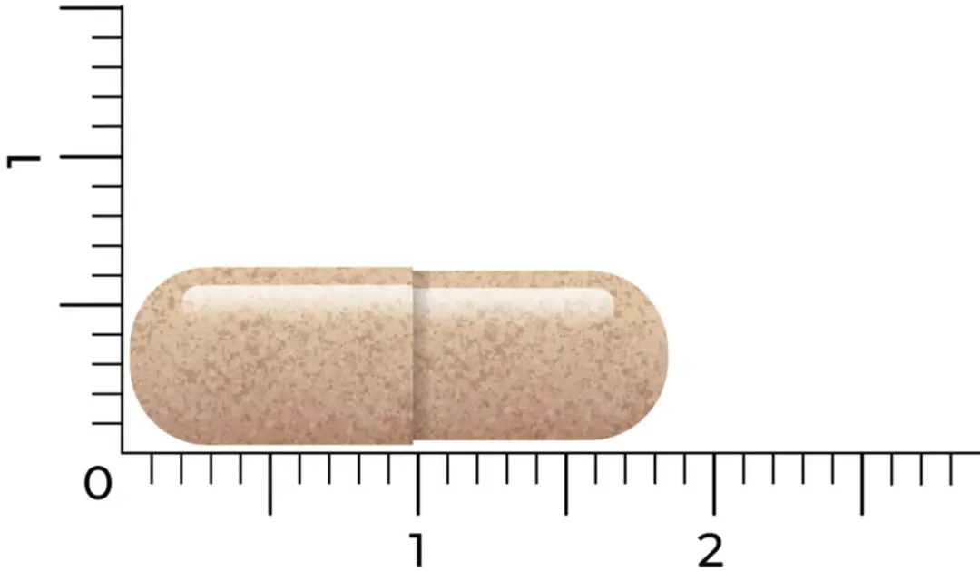 Vitakruid Lactoferrine 150mg - 120 Vegacapsules