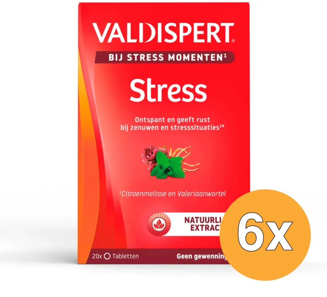 6x Valdispert Stress moments (20 tabletten)