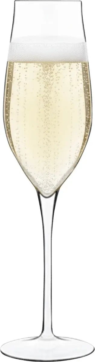 Luigi Bormioli Vinea Champagneflutes 27cl - Set van 6