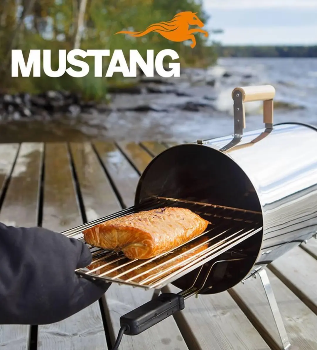Mustang elektrische rookoven RVS
