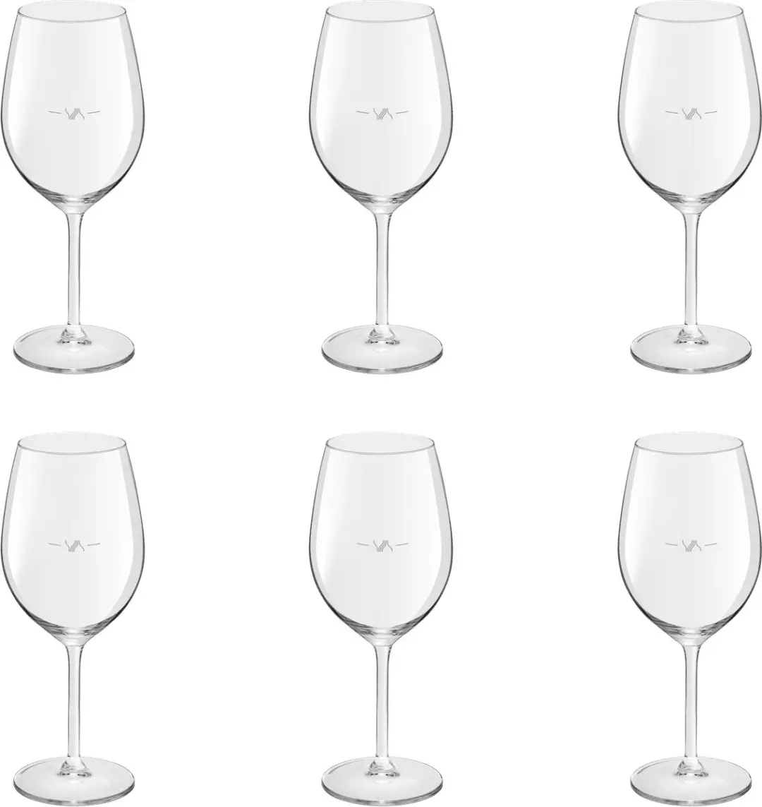 Royal Leerdam L'Esprit du Vin Wijnglas 32cl - 6 Stuks