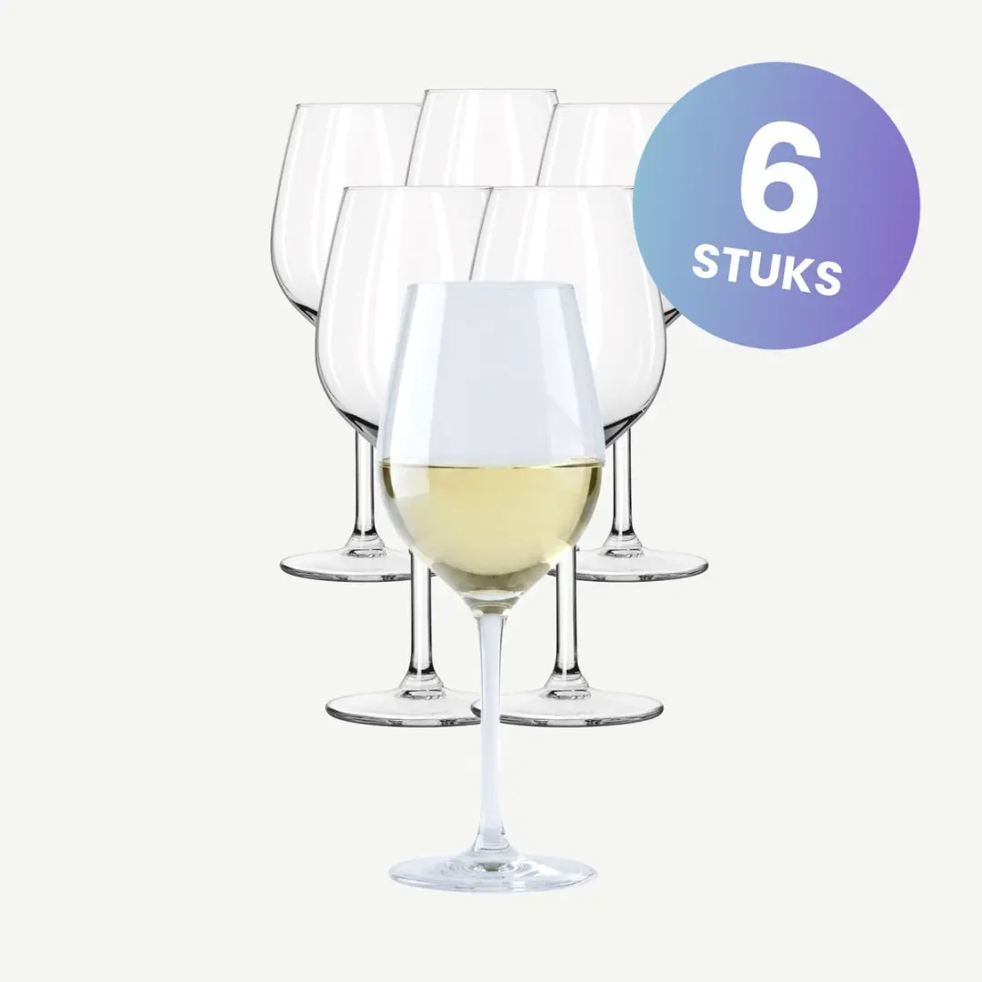 Onis Fortius Wijnglazen 30cl - Set van 6 - Transparant