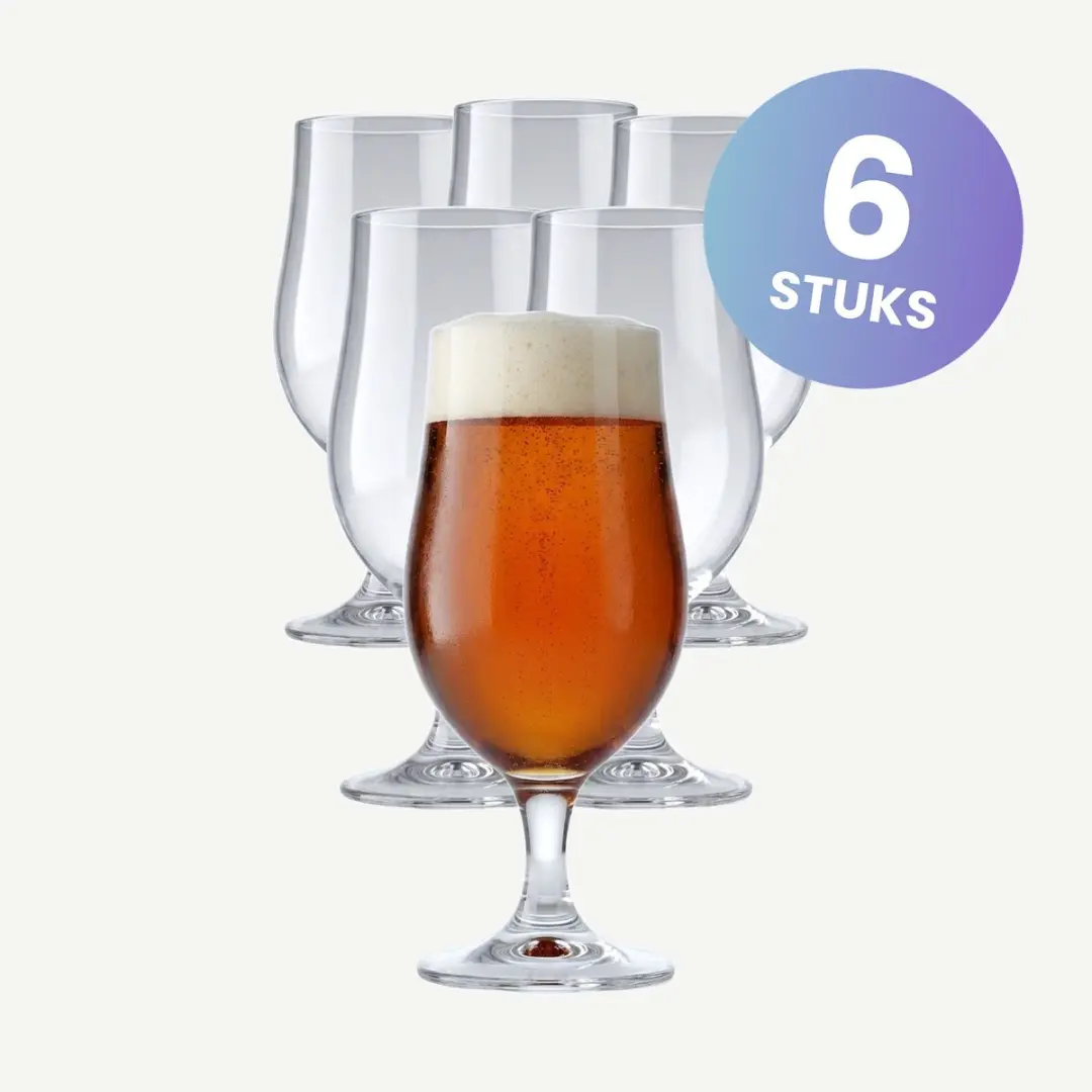 Onis Munique Bierglazen 40cl - Set van 6 - Transparant