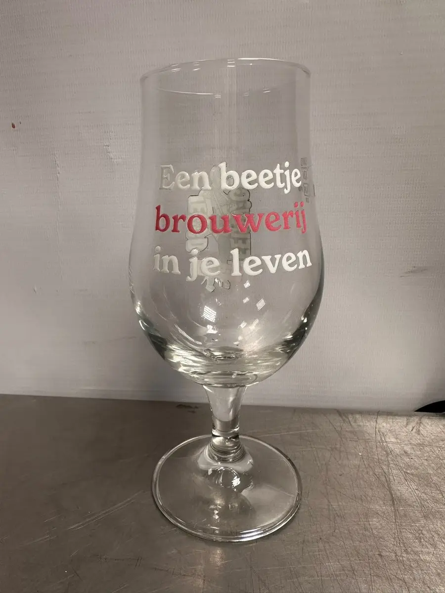 Onis Munique Bierglazen 40cl - Set van 6 - Transparant