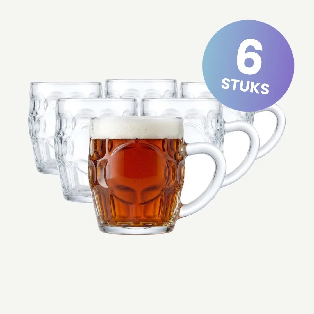 Onis Sintra Bierpullen 55cl - Set van 6
