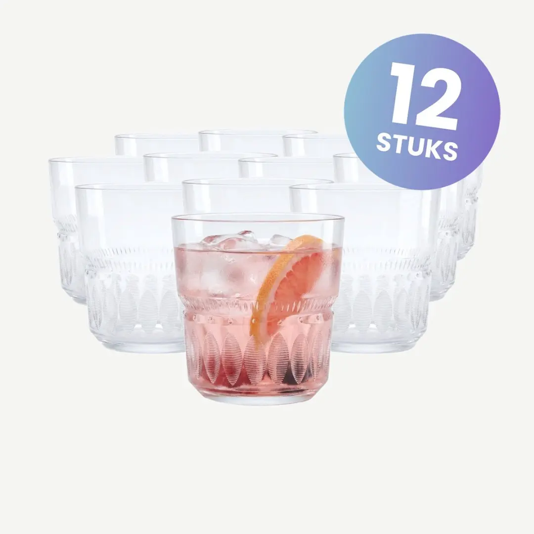 Onis New Era Tumblers 26cl - Set van 12 - Transparant