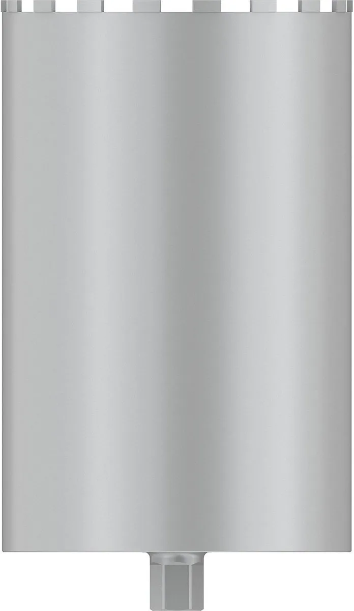 Bosch Professional Kernfrees 2608601802 - 300x450mm
