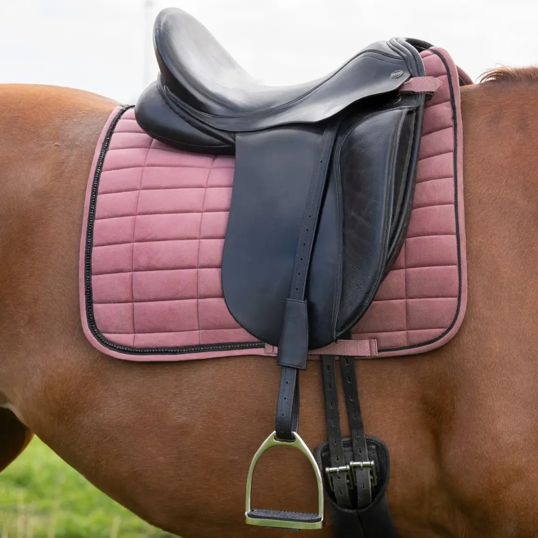 QHP Beugelriem Mono 70cm - Zwart