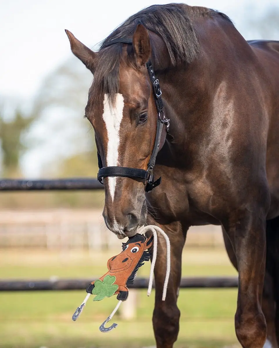 QHP Good Luck Paardenspeelgoed - Bruin