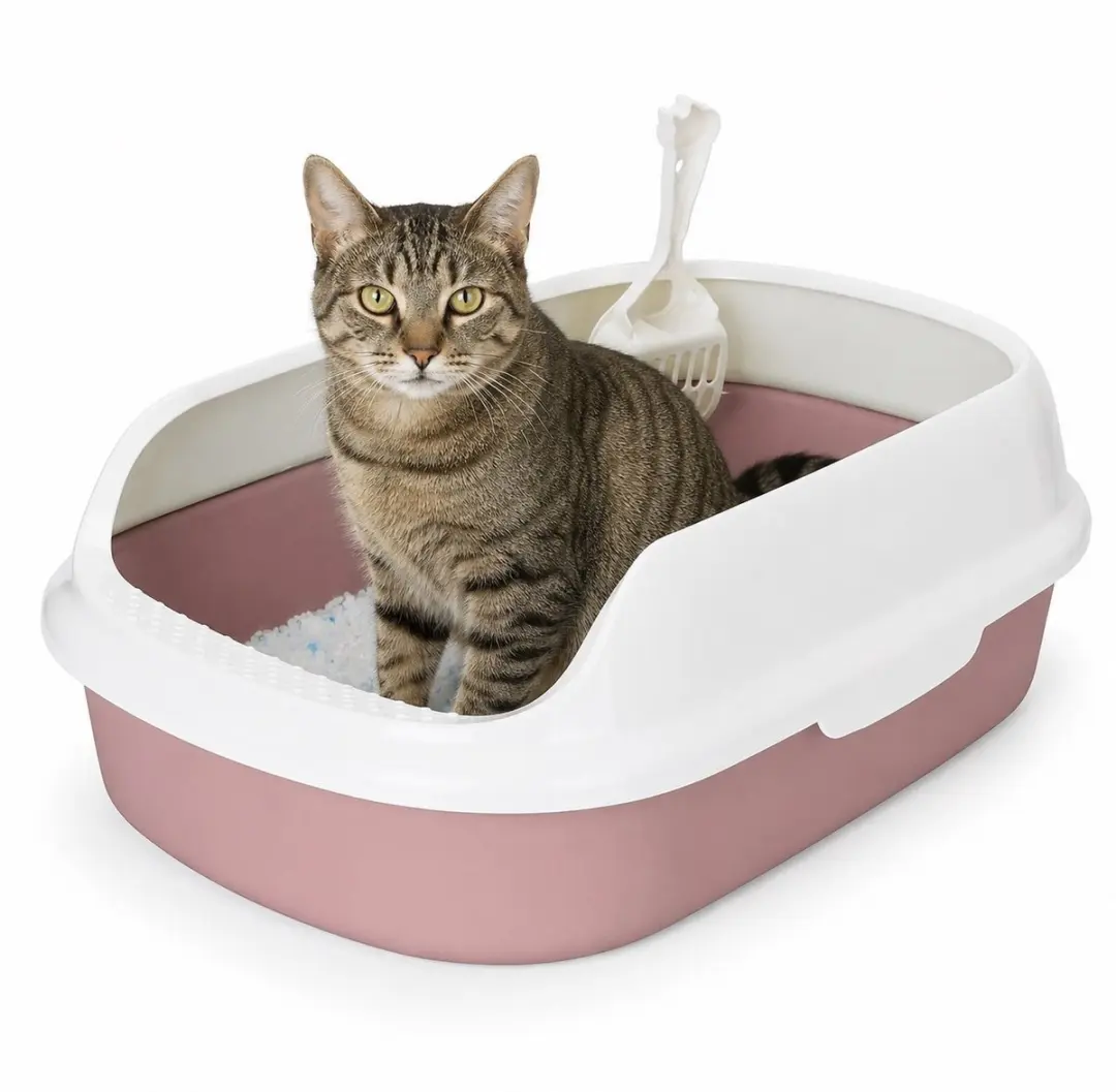 Nobleza Kattenbak L