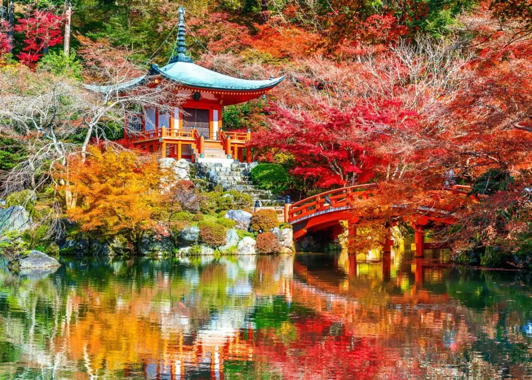 Bluebird Puzzle Temple Daigo-ji Kyoto 500 Stuks