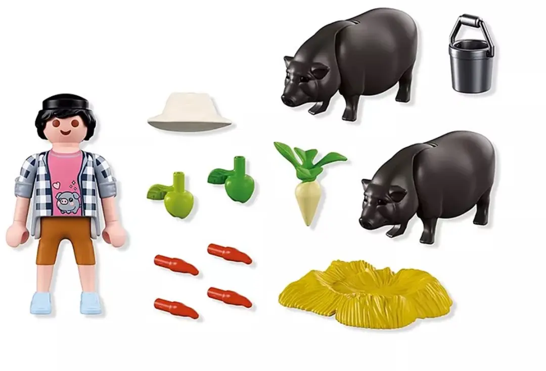 Playmobil Boer met Hangbuikzwijn 72171 - afbeelding 2 van 6