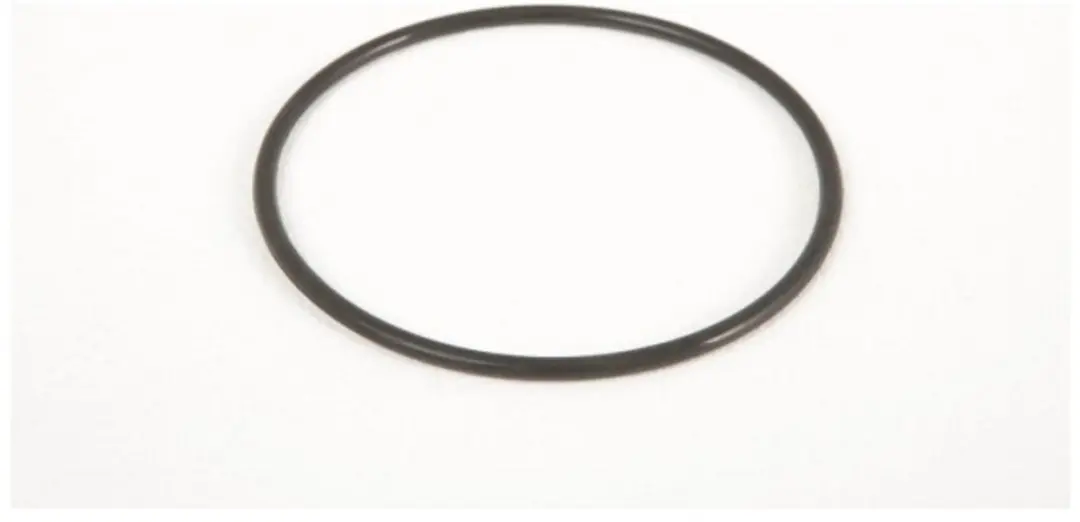 Bestway Strainer O-ring for Sand Filter except 530gal