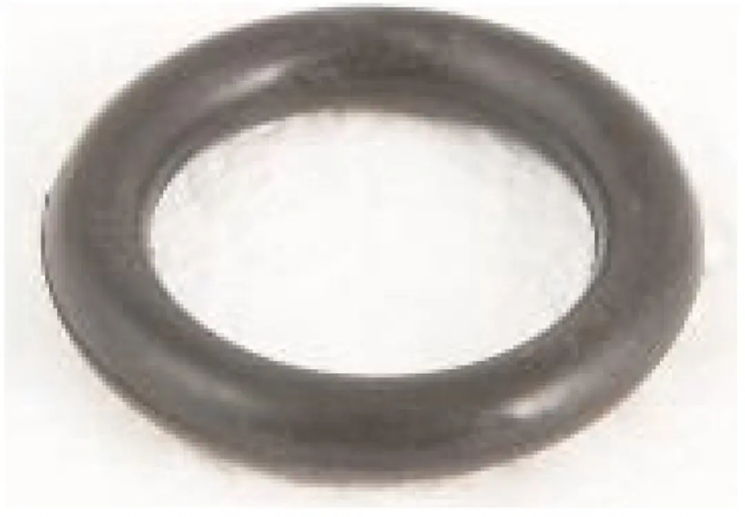 Bestway O-ring Ontluchtingsplug Filterpomp