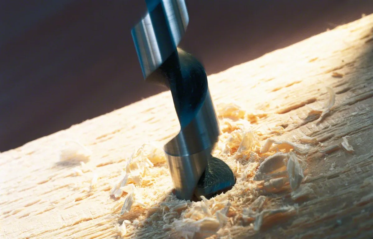 Bosch Professional Slangenboor 10x450mm Hout - 2608597641