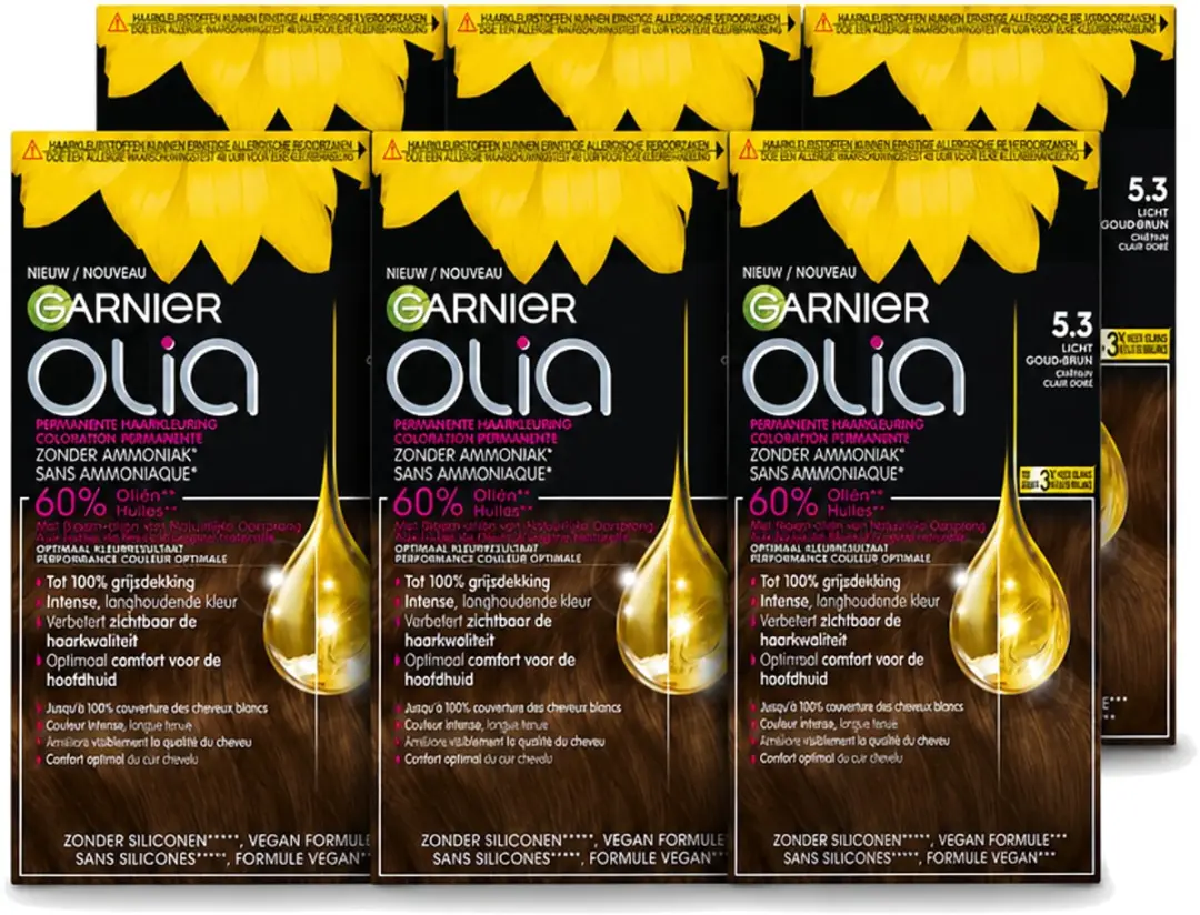6 x Garnier