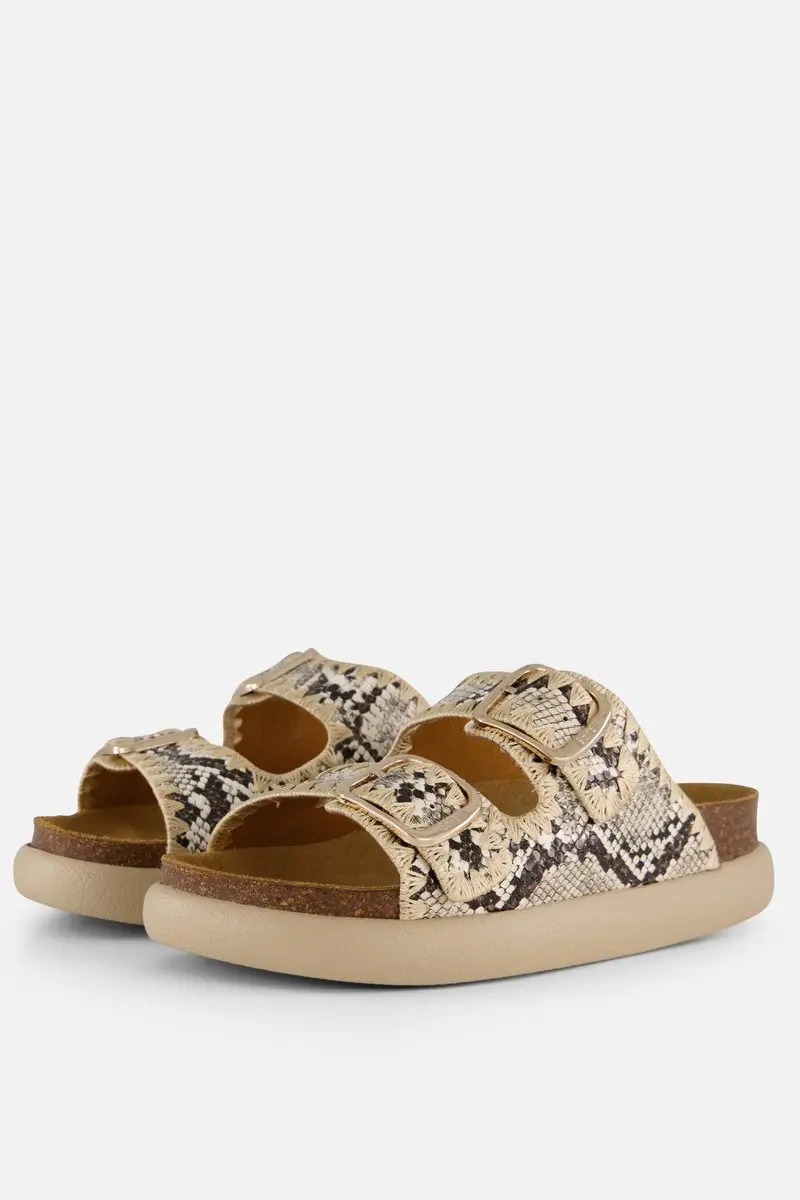 Scholl Sandalen Noelle Chunky Synthetisch Leer Vrouwen