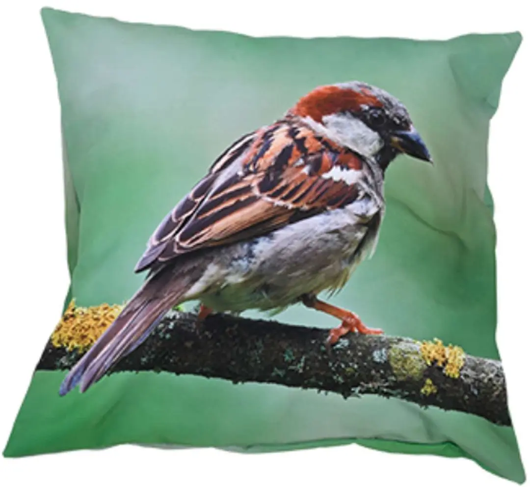 Esschert Design Buitenkussen S Huismus 40 x 40 cm