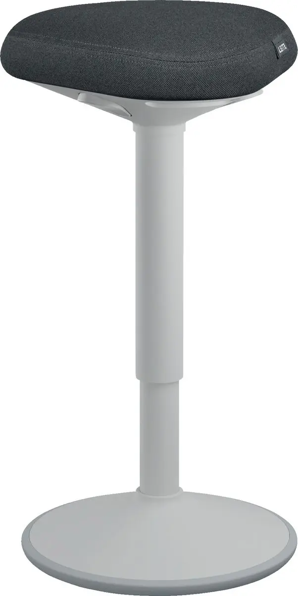 Leitz Ergo Active Zit Sta Kruk