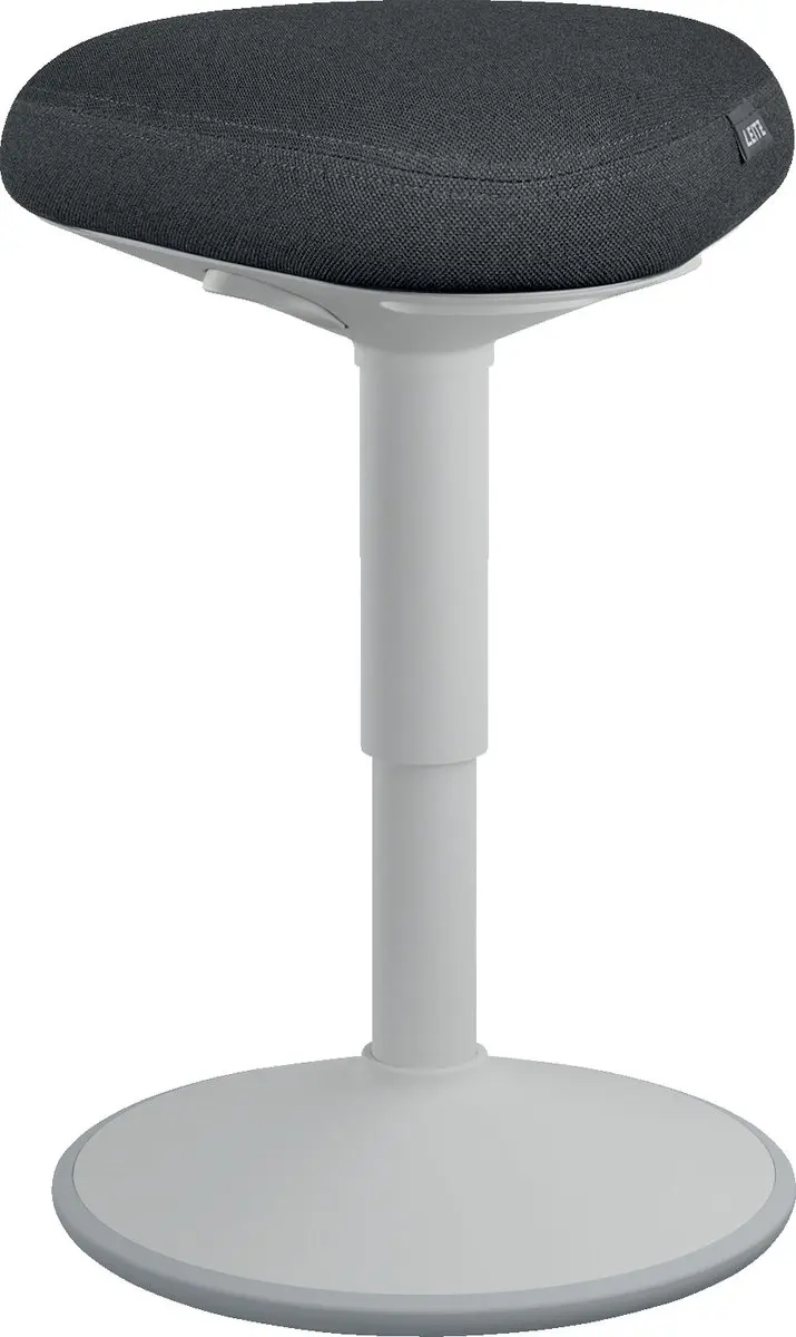 Leitz Ergo Active Zitkruk Grijs
