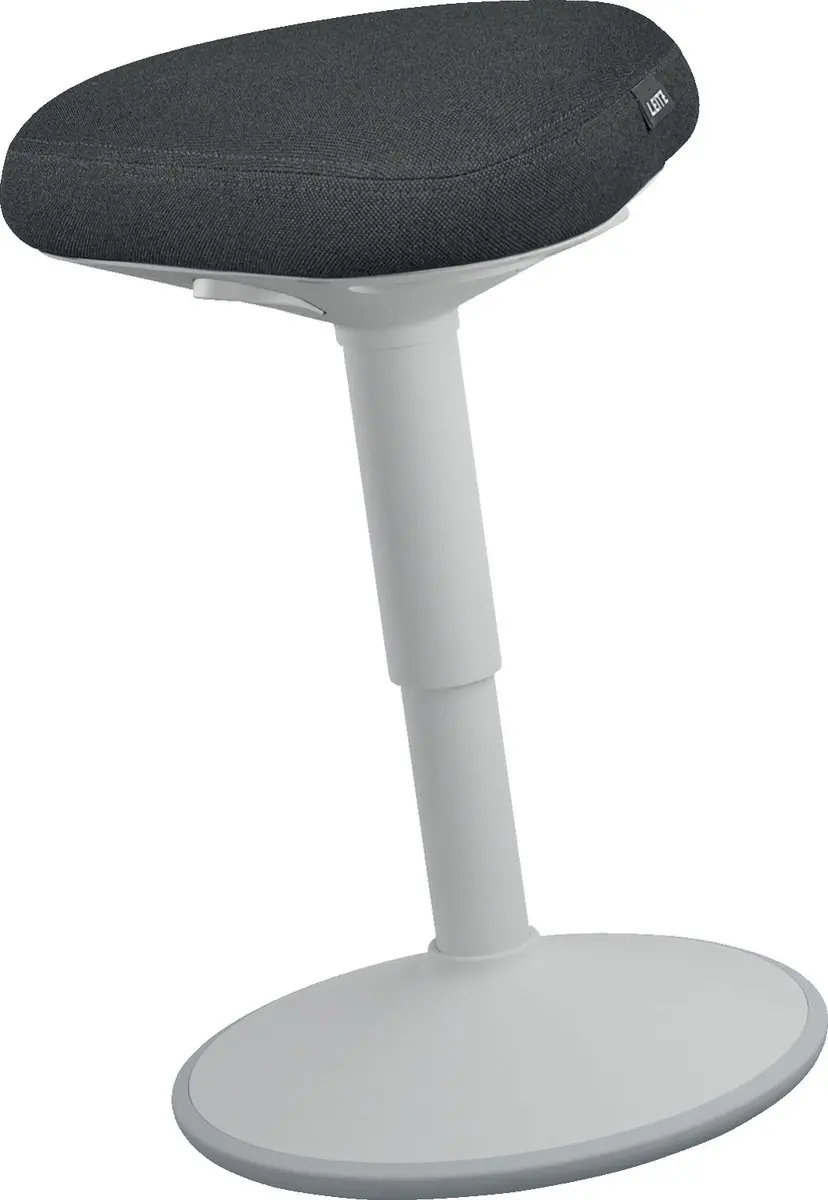Leitz Ergo Active Zitkruk Grijs - afbeelding 2 van 6