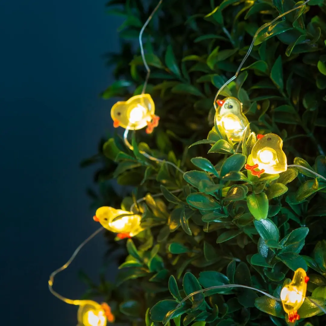 LED lichtsnoer