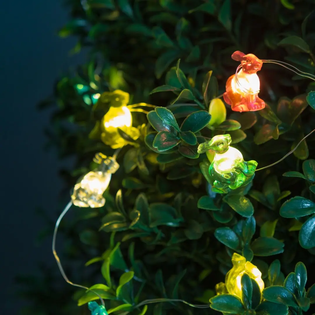 LED lichtsnoer