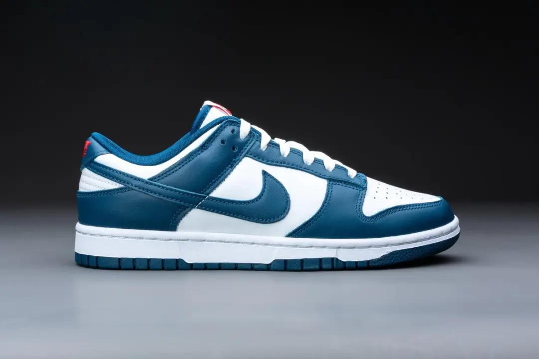 Nike Dunk Low Retro Valerian Blue