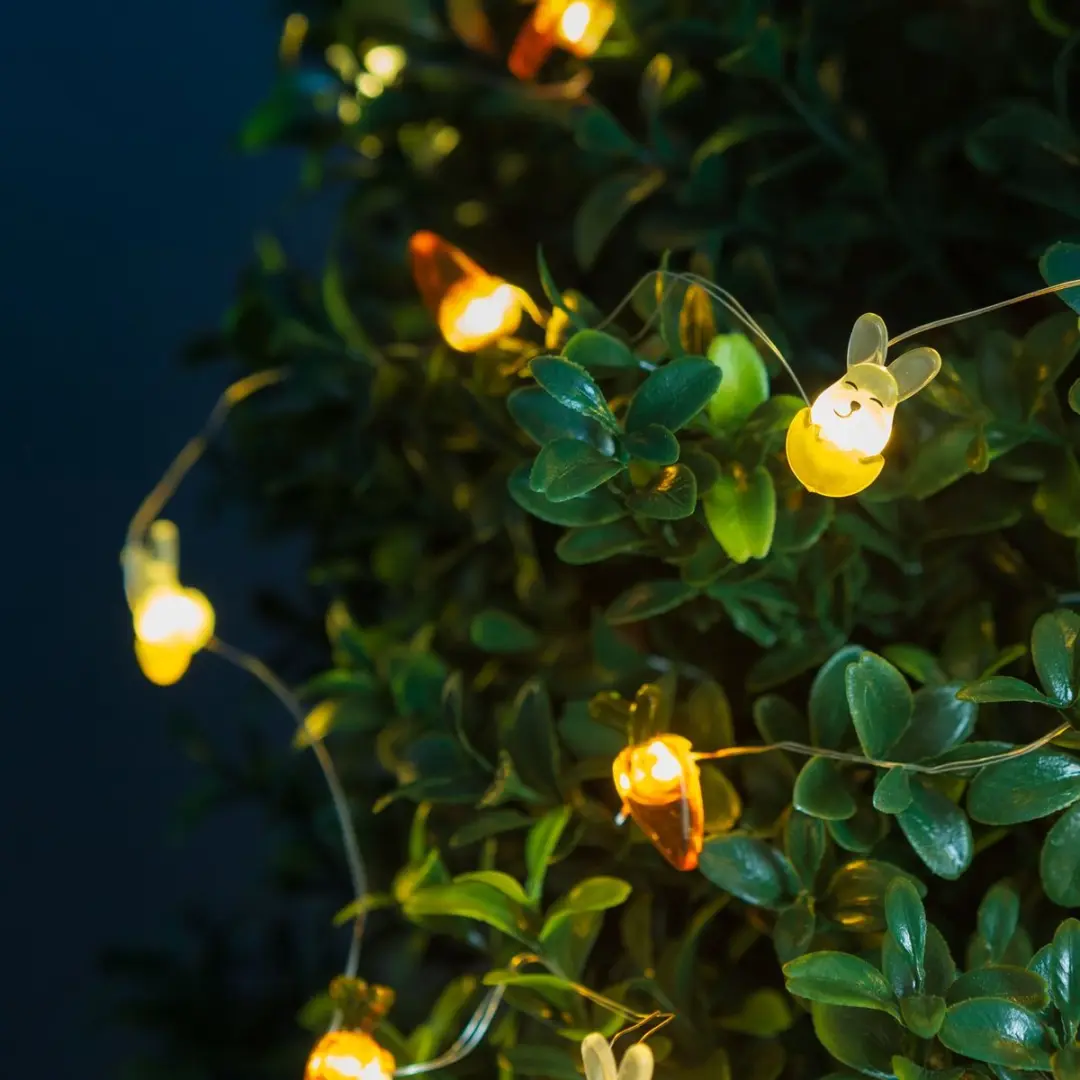 LED lichtsnoer