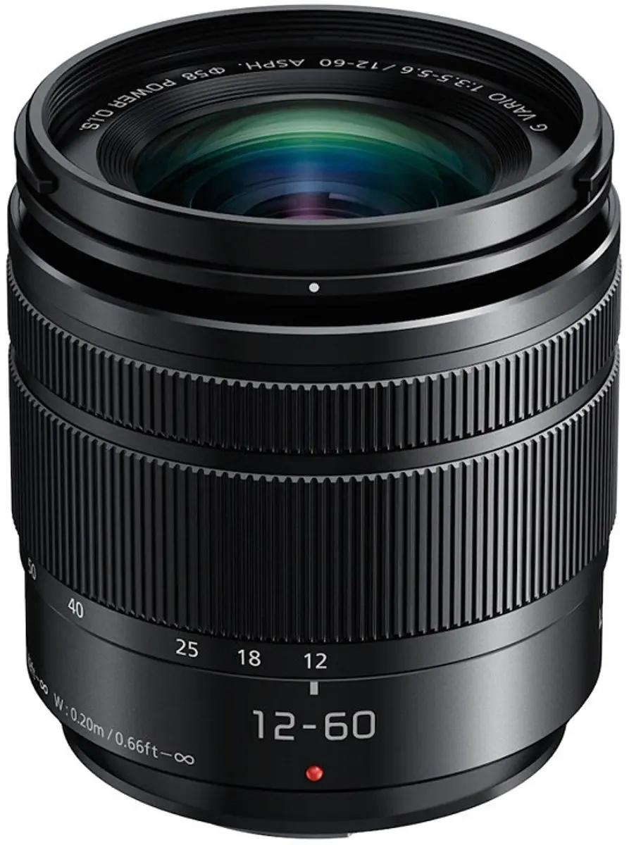 Panasonic LUMIX G H-FS12060E Telelens 12-60mm f/3.5-5.6