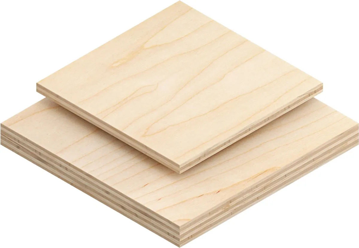 Bosch Professional PRO WOOD T48 Cirkelzaagblad 216mm - 2 Stuks