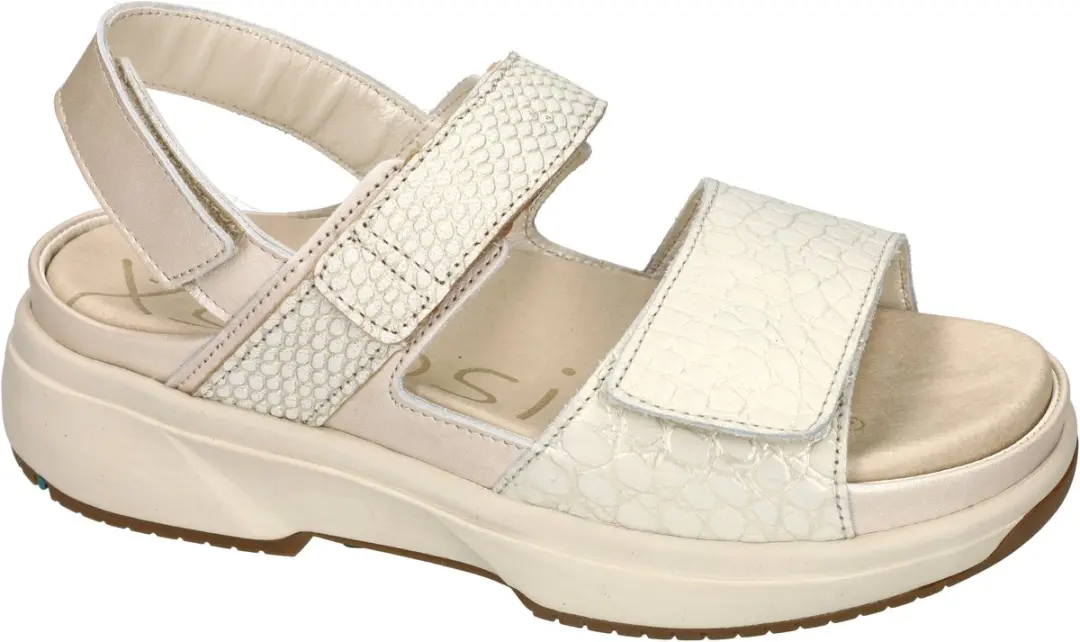 Xsensible Dames Sandalen 37