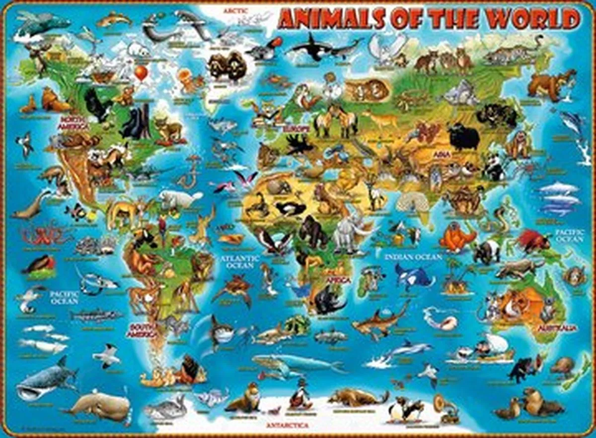 Ravensburger Animals of the World Legpuzzel 300 Stuks - Multicolor