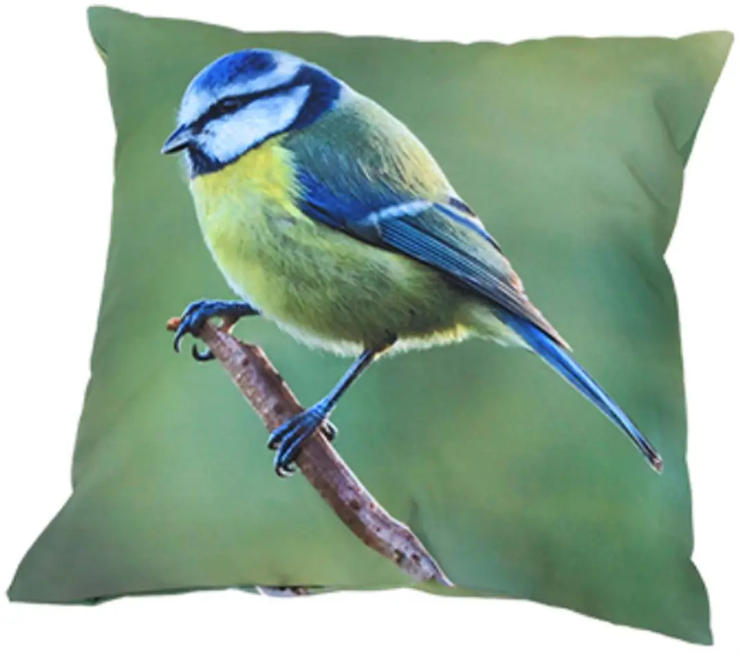 Esschert Design buitenkussen S pimpelmeesmotief 40 x 40 cm polyester