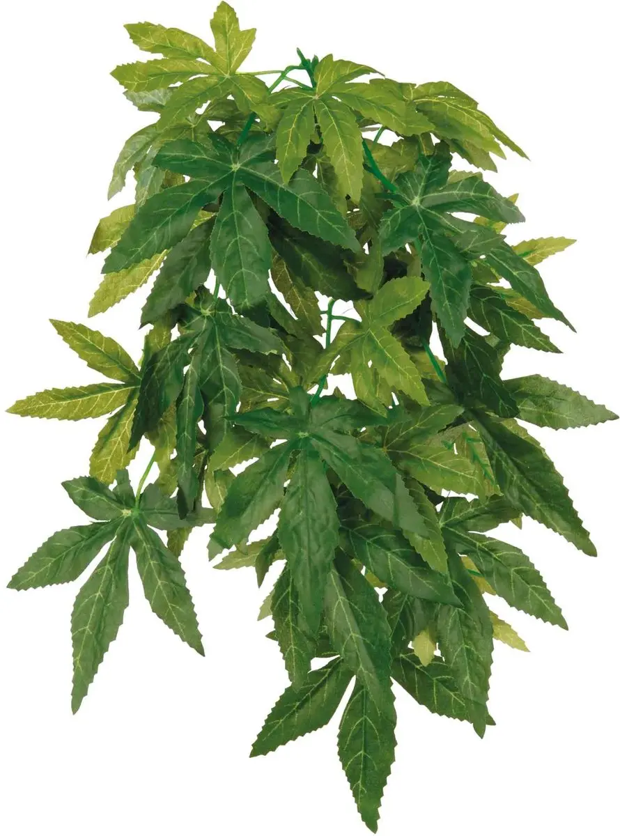 Trixie Zijden Hangplant Abutilon √∏ 20 √ó 50 cm