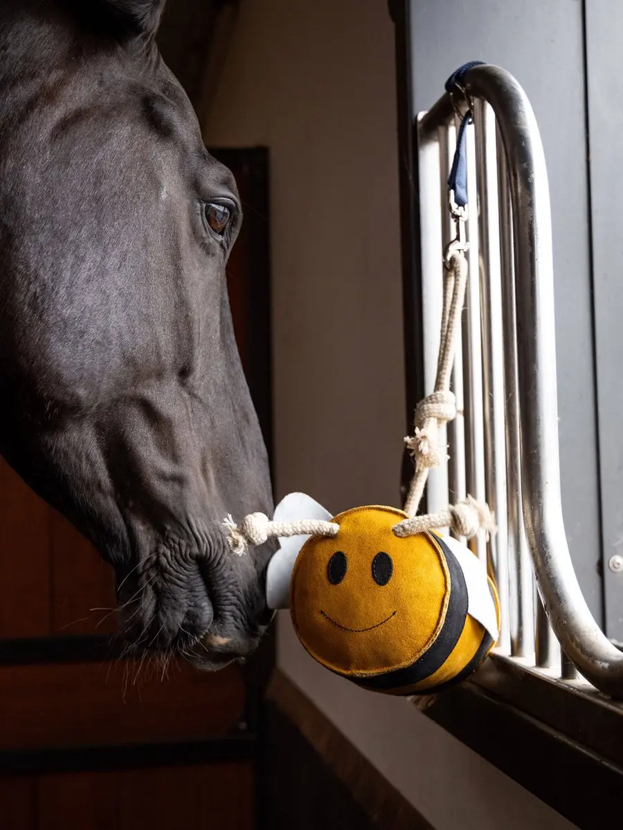 LeMieux Paardenspeelgoed