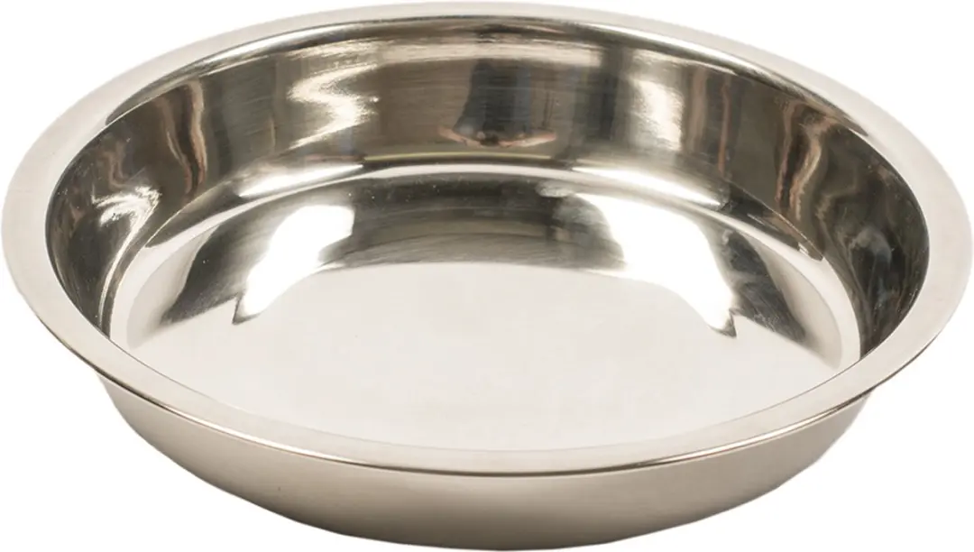 Duvo Inox Puppy Schotel