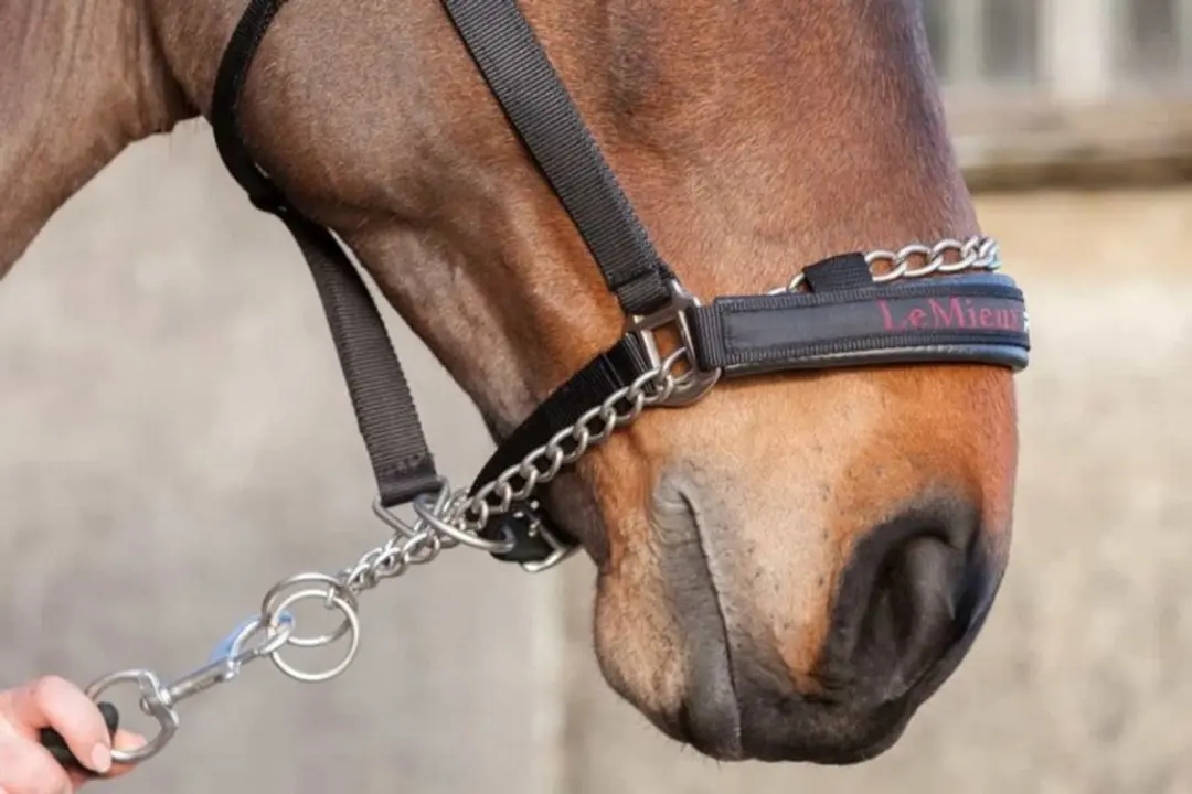 Lemieux Halster Pro-safe Full - Zwart