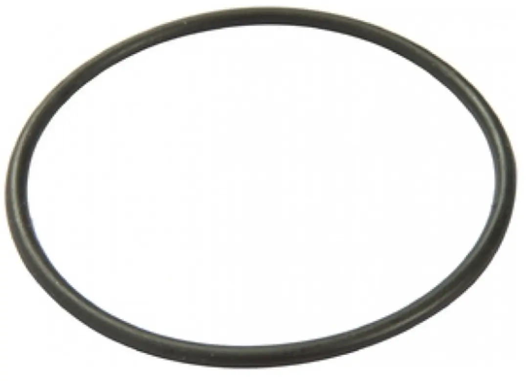 Bestway Filter Cap Seal voor 330gal Filterpomp (NA)