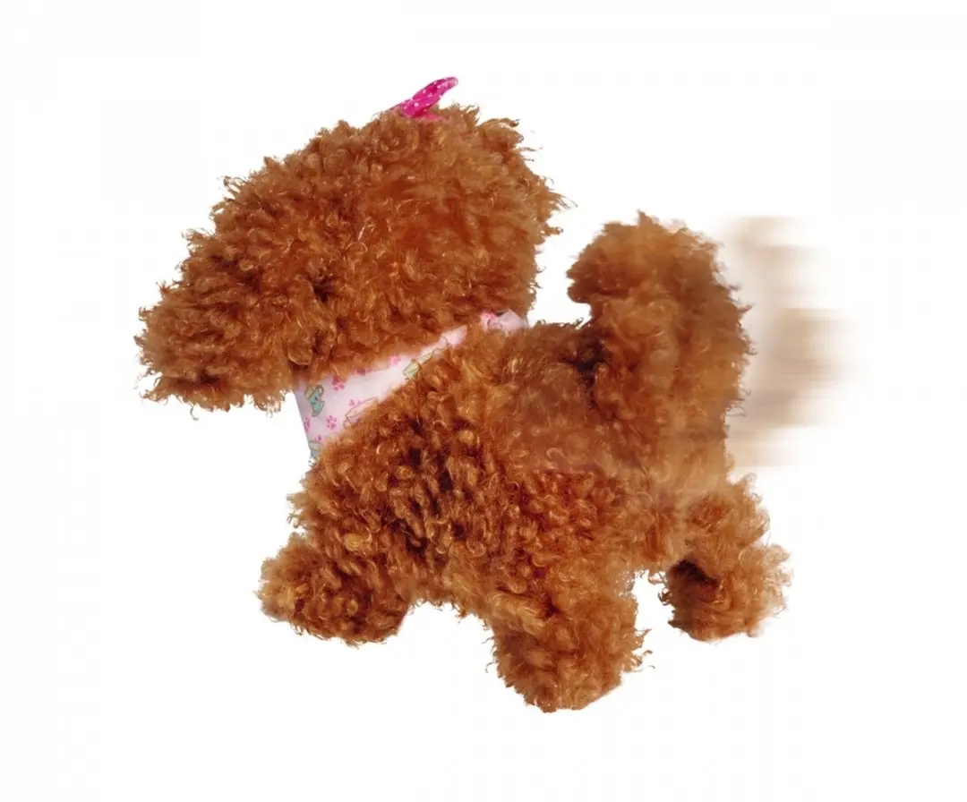 Simba CCL Tea Cup Poodle Puppy - Bruin - afbeelding 3 van 4