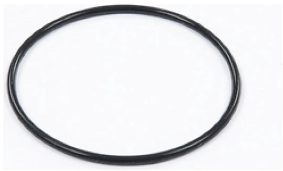 Bestway Strainer O-ring voor 530gal Zandfilter