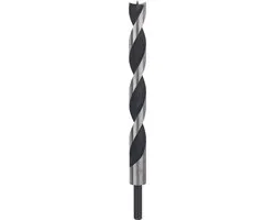 Bosch Professional Houtboor M-Punt 20x250mm