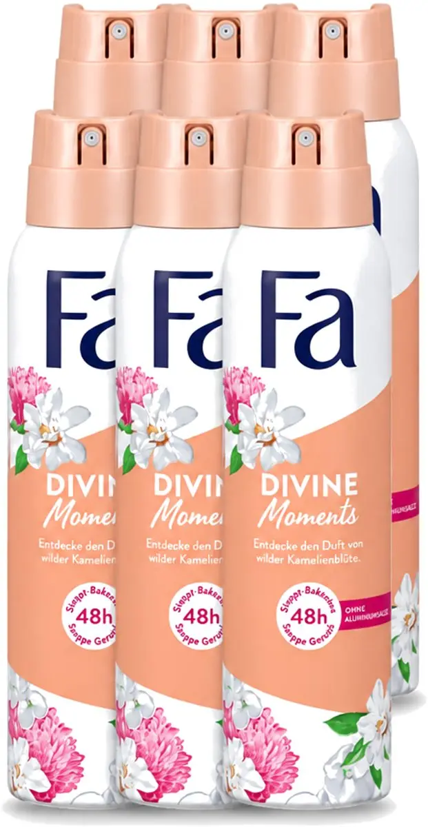 6 x Fa