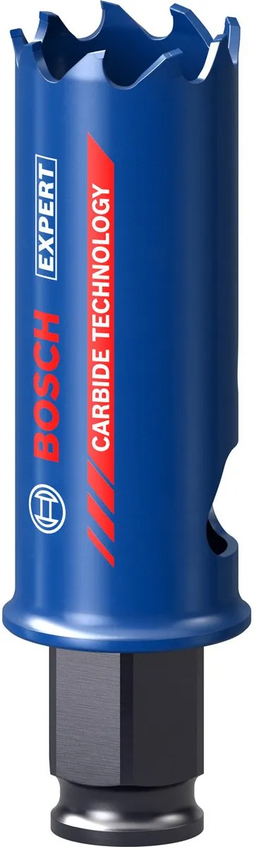 Bosch Professional Expert Gatzaag 25mm