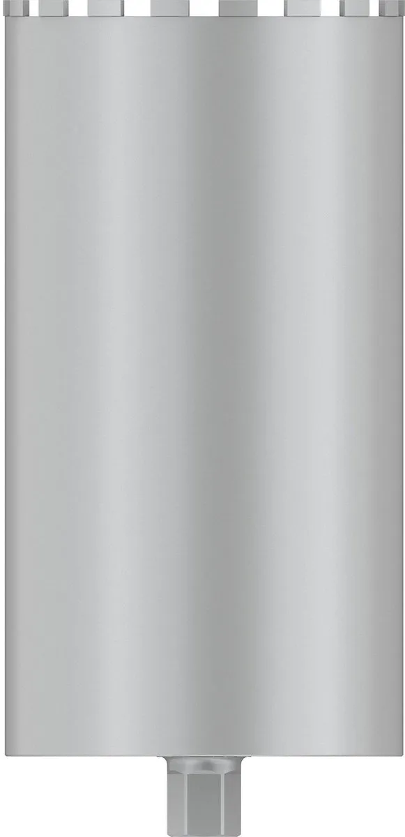 Bosch Professional Kernfrees 2608601801 - 250x450mm - afbeelding 3 van 4
