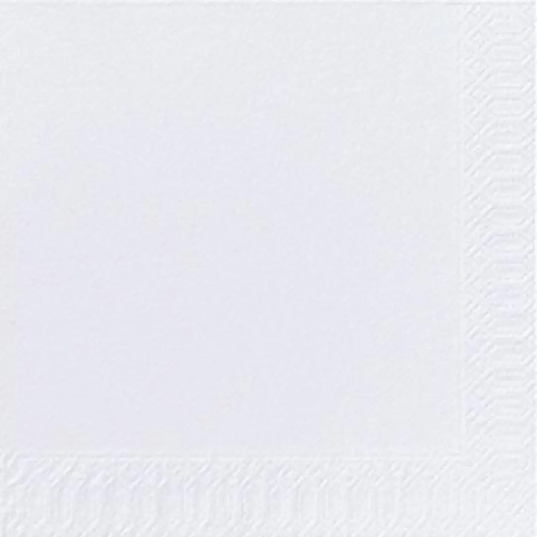 Duni Tissue servet 33 x 33 cm White 2-laags 10x300stuks