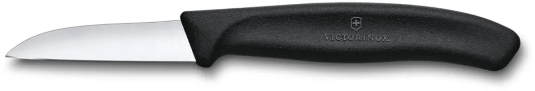 Victorinox schilmesje