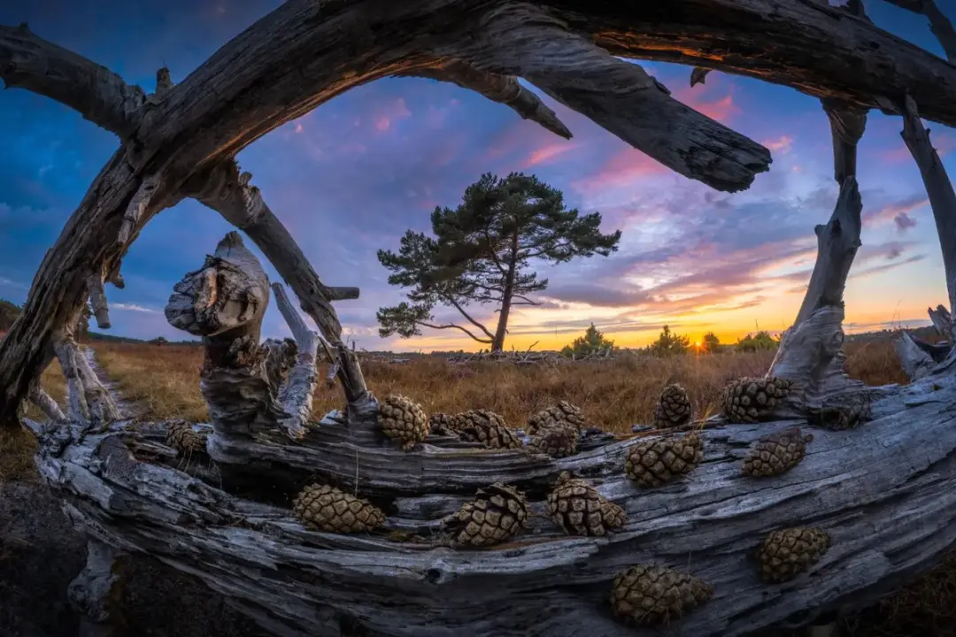 Sony SEL FE 8-14mm F3.5 Fisheye G Lens